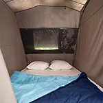 3 Etoiles - Ccaaafd Sorèze
