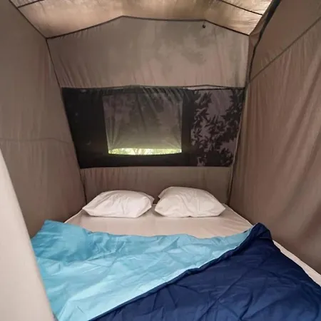 3 Etoiles - Ccaaafd ソレーズ