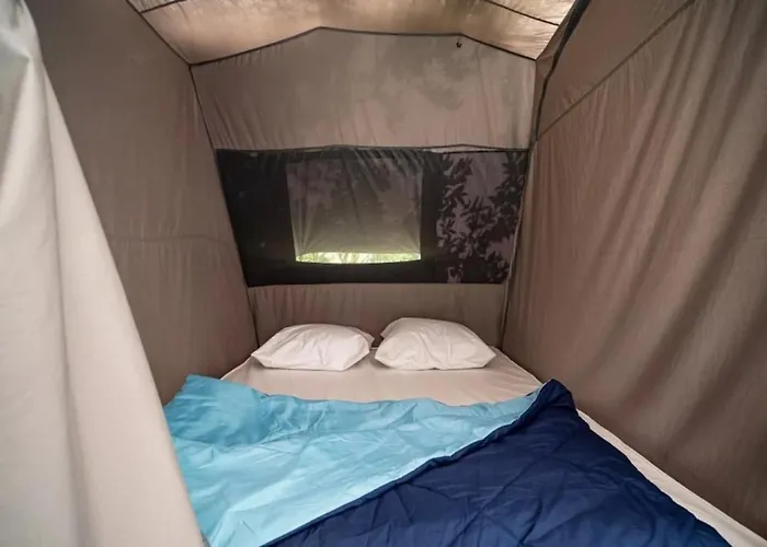 3 étoiles - Ccaaafd Sorèze